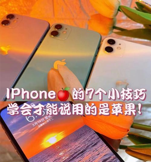 血氧仪使用小技巧大揭秘（5个关键技巧助你更好地使用血氧仪）