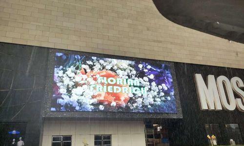 博诺安壁挂炉P5故障现象及解决方法（详细分析P5故障原因）