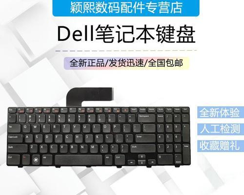电脑键盘功能基础知识（提高电脑操作效率的关键）