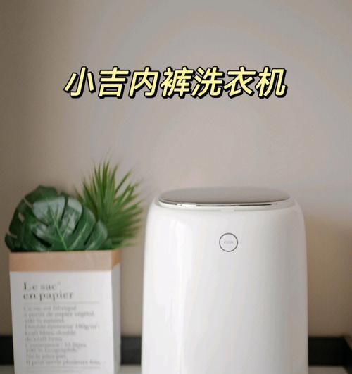 内衣裤专用洗衣机安装方法（详细介绍如何正确安装内衣裤专用洗衣机）