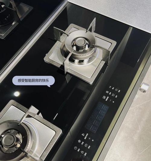 柴火集成灶，绿色生活的首选（燃柴炉火）