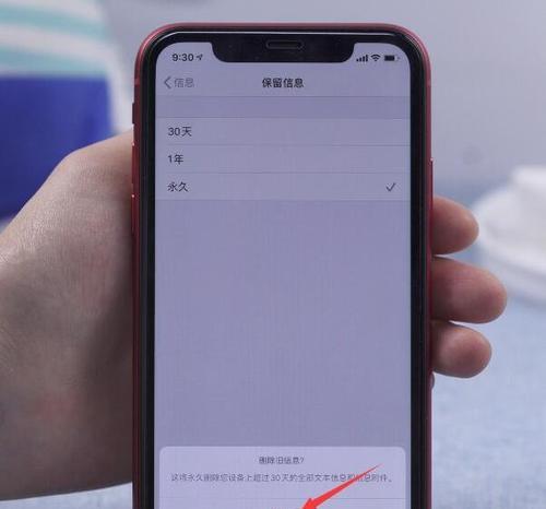 如何利用苹果平板清理内存？（简单有效的方法帮助你优化设备性能）