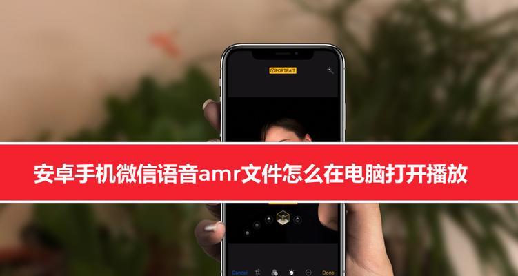 微信语音未显示的原因及解决方法（探究微信语音无法显示的常见问题及解决办法）