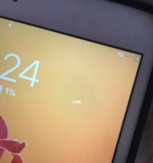 探究iPad无法充电的原因（解析iPad电池问题）