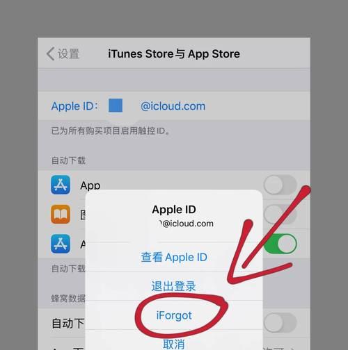 苹果手机ID账号的创建及使用指南（一步步教你轻松创建属于自己的苹果手机ID账号）