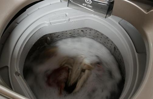 自动洗衣机漏水怎么办？原因有哪些？
