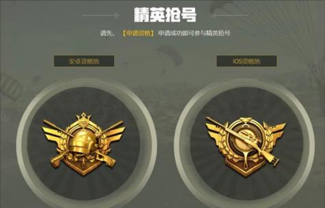 和平精英体验服怎么下载？下载步骤有哪些常见问题？