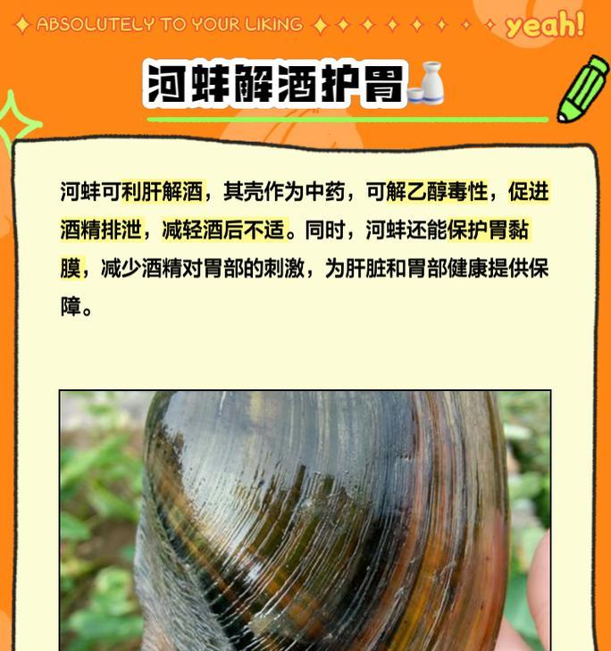 河蚌外壳处理步骤？图片详解教你如何处理？