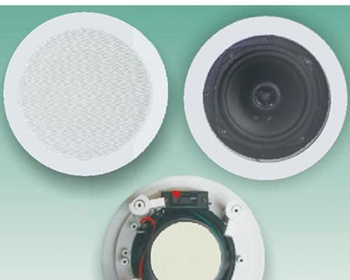 光明区吸顶音箱哪家店铺销量好？价格实惠吗？