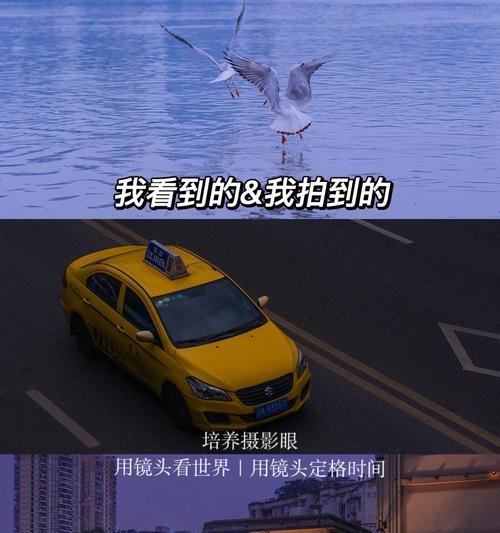 鸟眼相机如何用手机控制？拍照步骤是什么？