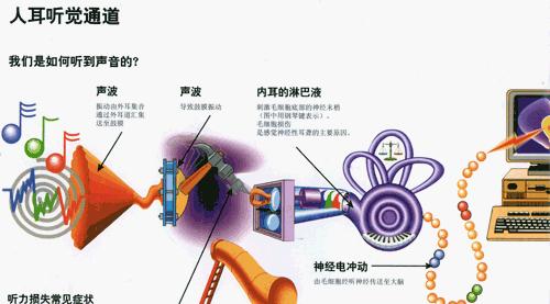 电脑立体音的声音设置方法是什么？如何调整以获得最佳听觉体验？