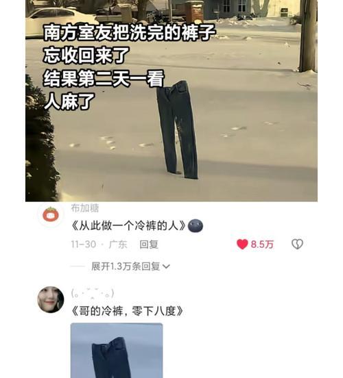 舍友拍照记录如何在手机上查看？隐私设置有哪些？