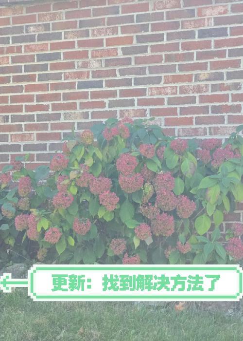 三星怎么曝光拍照好看的手机？拍照技巧是什么？