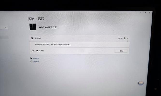 Win11企业版与专业版选择指南是什么？